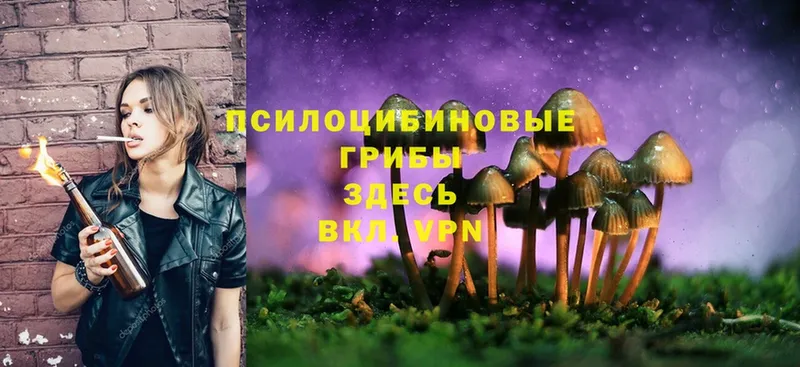 Галлюциногенные грибы MAGIC MUSHROOMS  закладка  площадка как зайти  Ивдель 